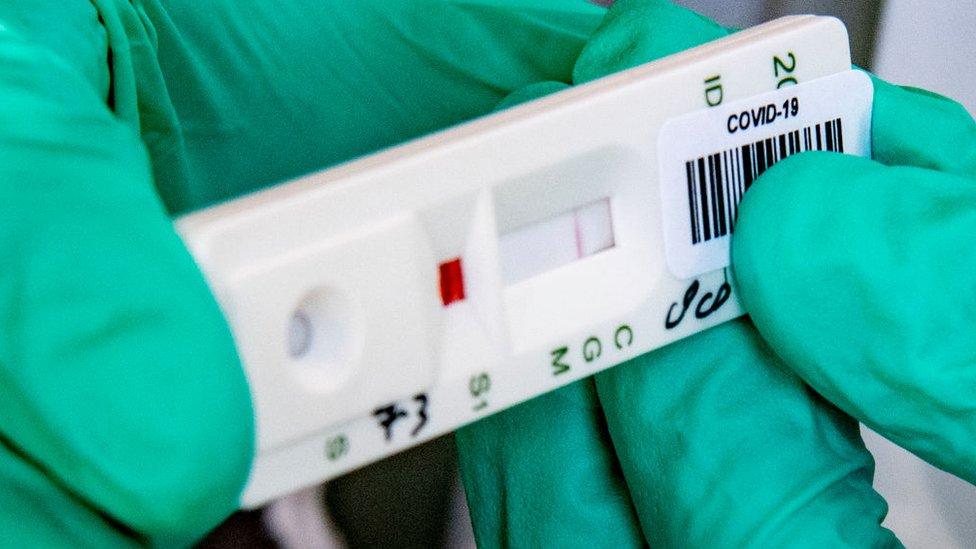 A strip running a test on a blood samples