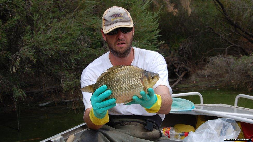 Man holding a big goldfish