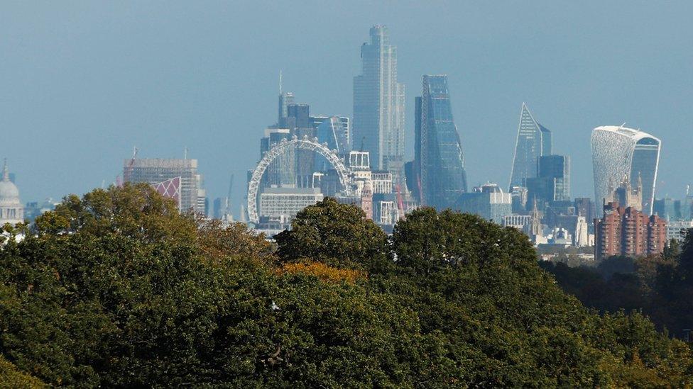 A view of Richmond Park, with the London skyline behind, amid the coronavirus disease