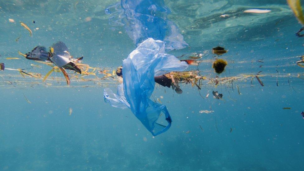 Plastic bag in the ocean