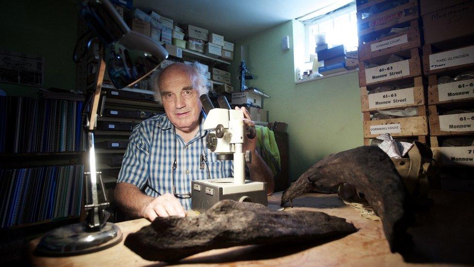 Steve Clarke next to pre-historic wood on a table