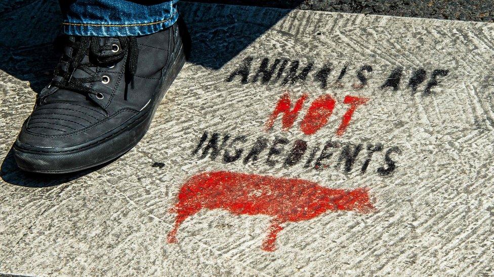 Anti-meat graffiti in France