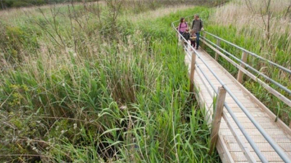 A family walking in Westhay Nature Reserve