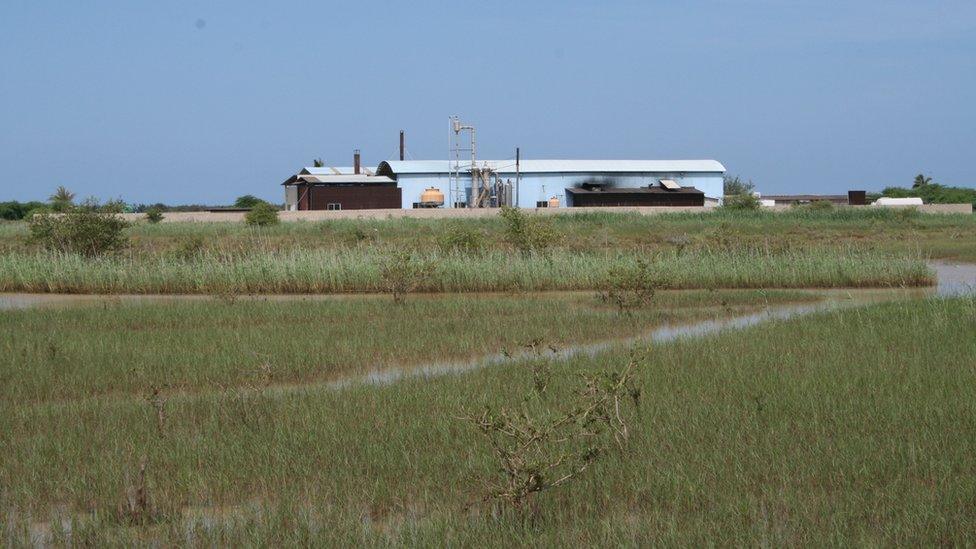 Fishmeal plant in St Louis