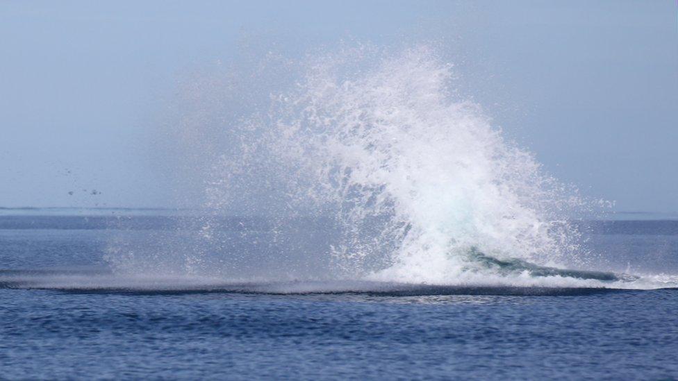 Splash as minke whale re-enters the water off the Isle of Man