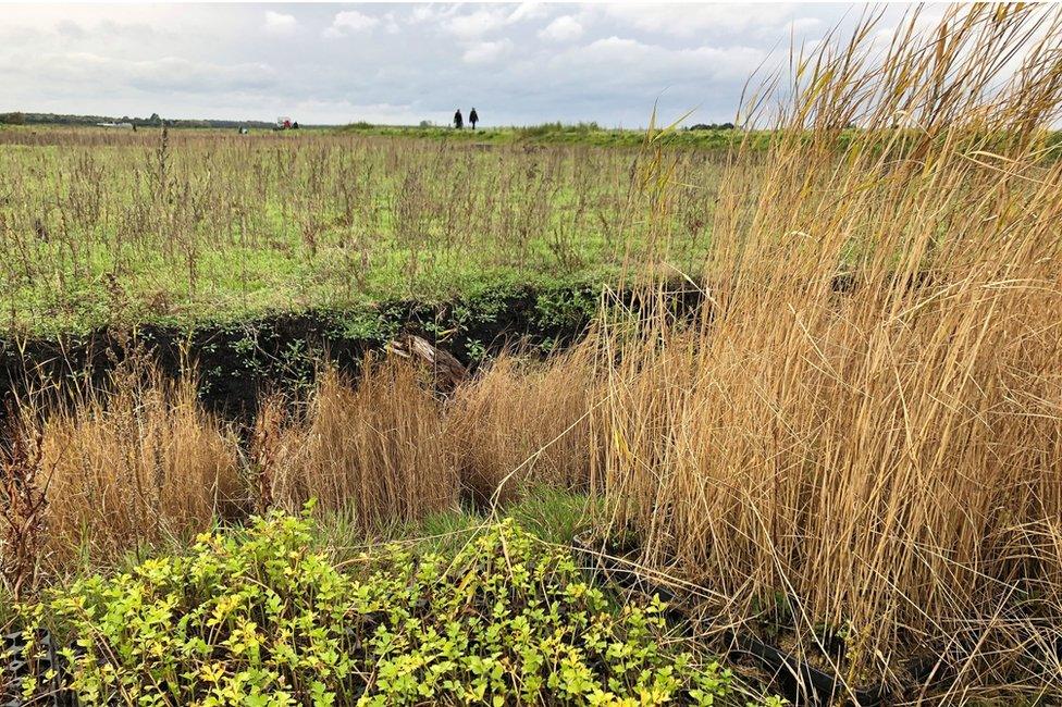 Peatland restoration