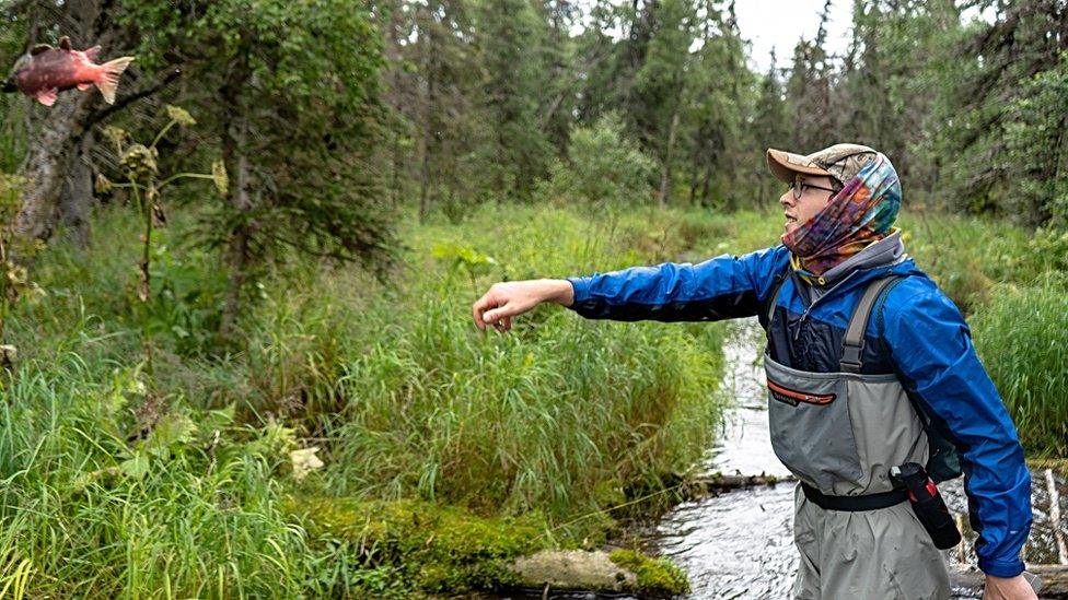 Salmon tossing (Image: Dan Dincola)