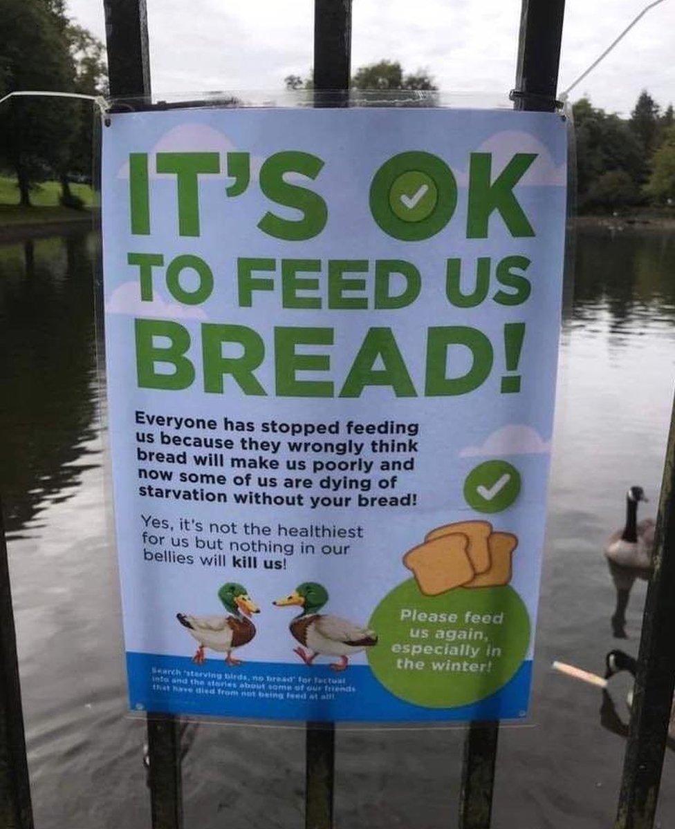 Photo of sign saying: "It's OK to feed us bread"