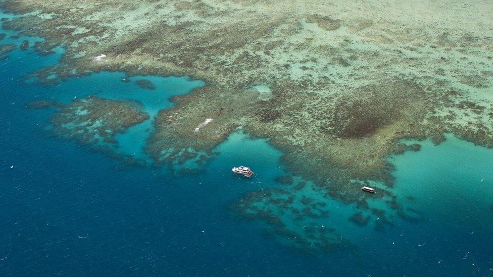 Boats beside the Great Barrier Reef