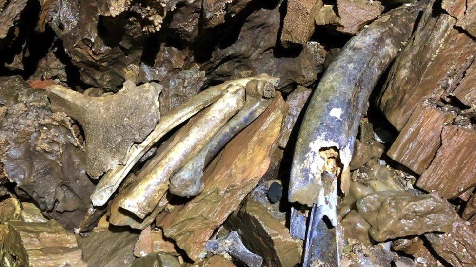 Artefacts in Sherford cave