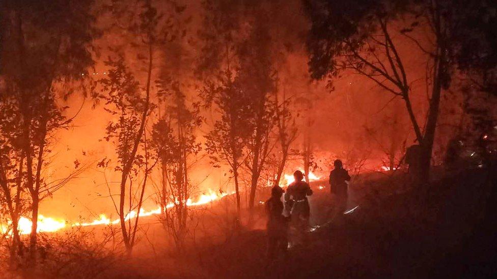 Firefighters battle a forest blaze in Xichang in China's southwestern Sichuan province