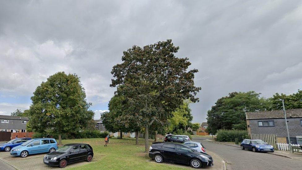 Residential side street with parked cars and a green play area with trees