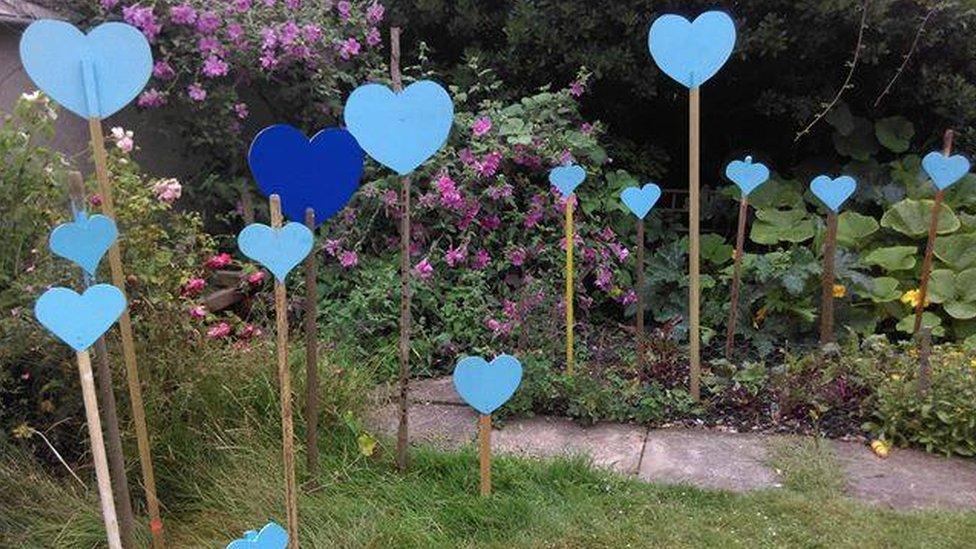 Blue hearts in a garden