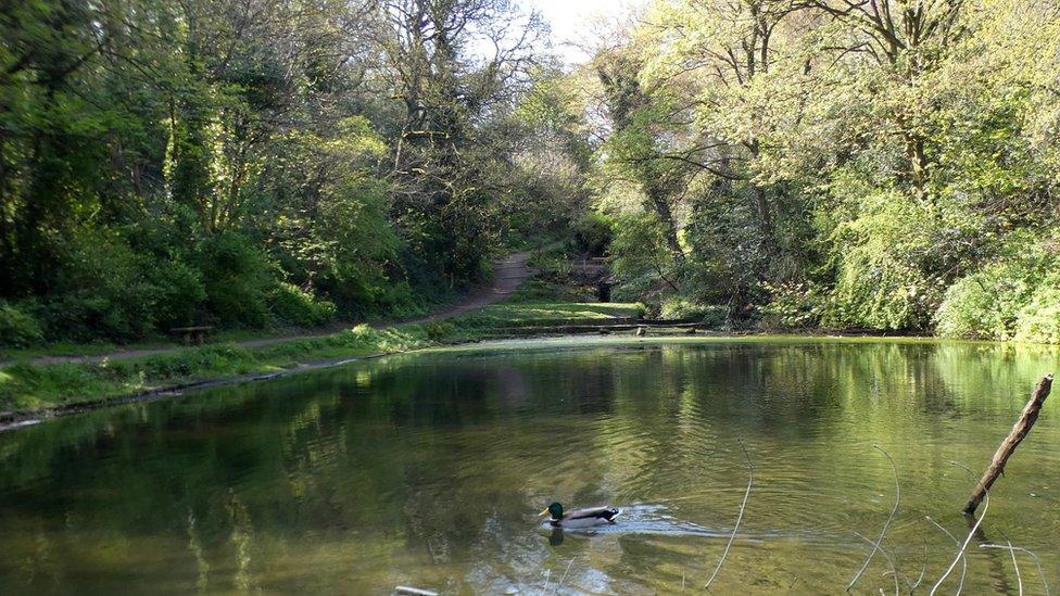 Birley Spa Bath House lake