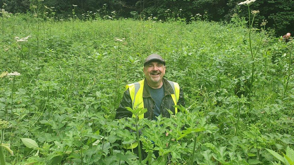 Andy McBride-Coogan among Himalayan Balsam