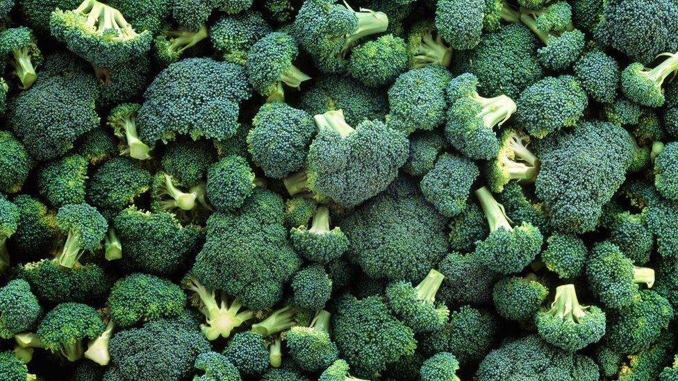 Several heads of broccoli