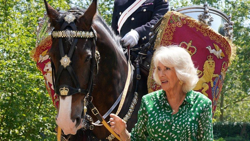 Queen Camilla and Juno