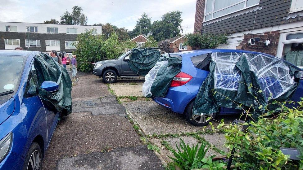 Damaged caused by a storm in Cherry Croft, Littlehampton