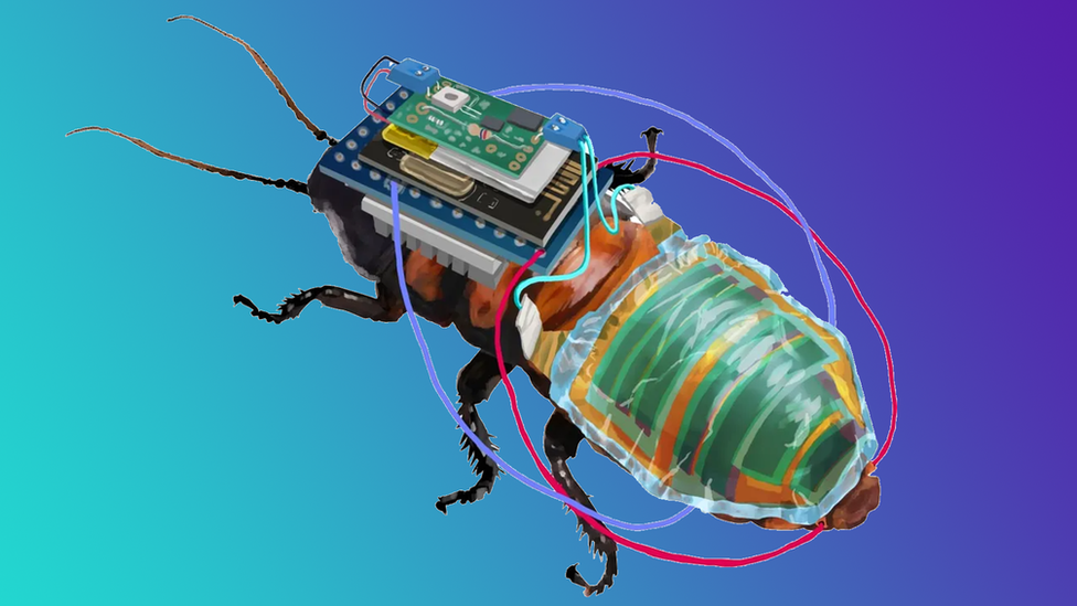 robo-cockroach.