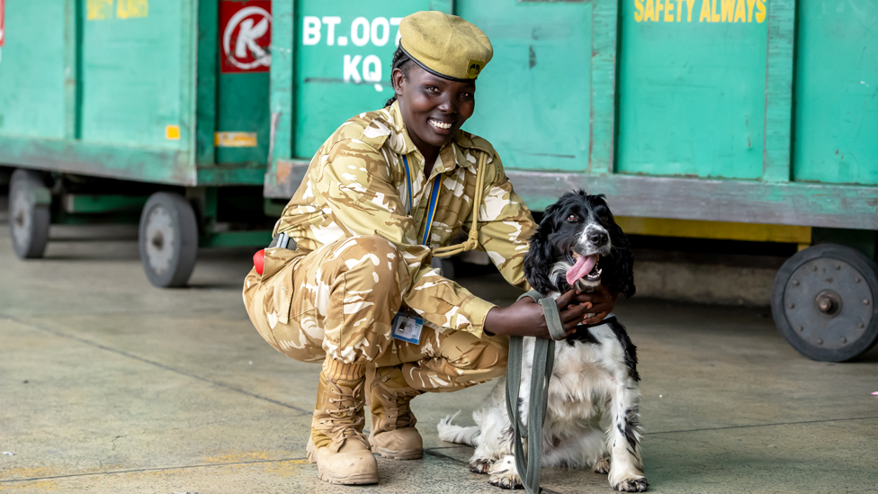 A uniformed dog handler with her springer spaniel at Jomo Kenyatta International Airport in Nairobi, Kenya