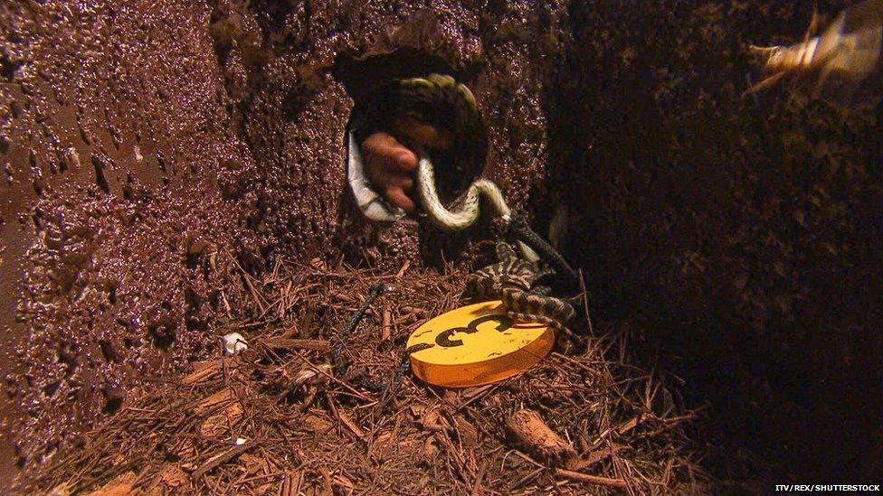 Amir Khan pulls a snake out of a hole in I'm A Celebrity...Get Me Out Of Here!