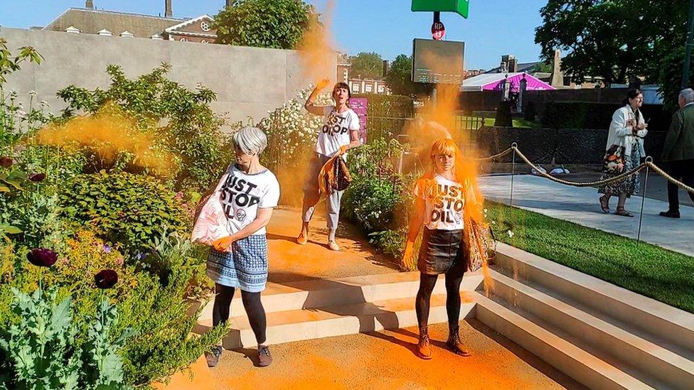 Protesters from campaign group Just Stop Oil throw orange powder over one of the gardens at the Chelsea Flower Show