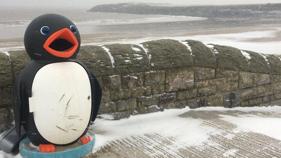 Penguin bins in Barry, Vale of Glamorgan