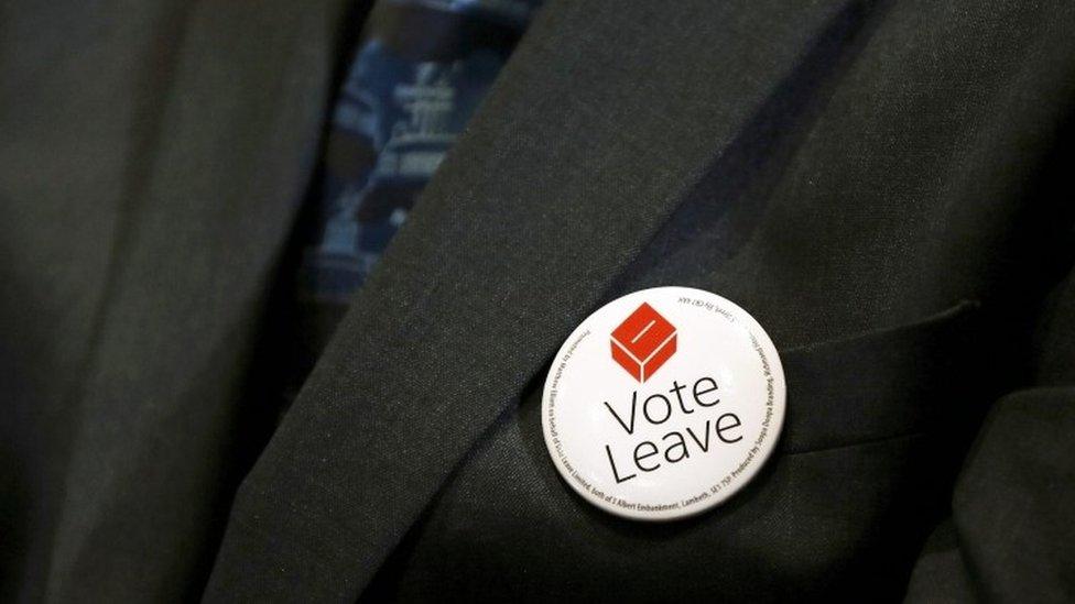 Vote Leave badge