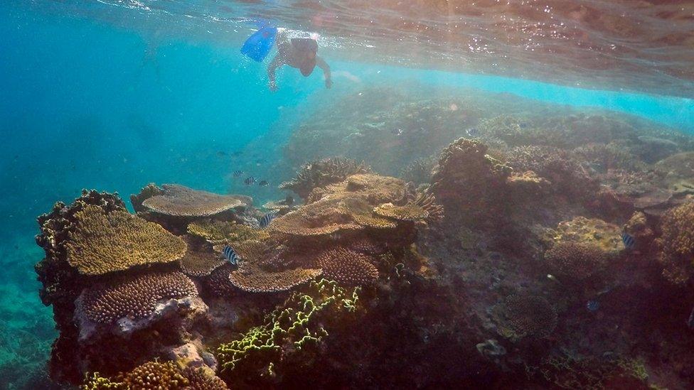 Great Barrier Reef