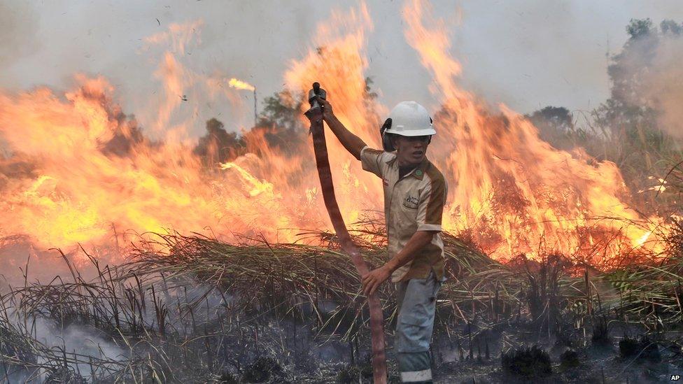 A fireman works to contain a wildfire on a field in Ogan Ilir, South Sumatra, Indonesia