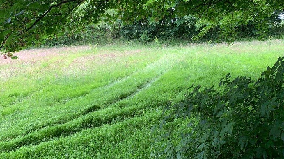 Tyre tracks in field