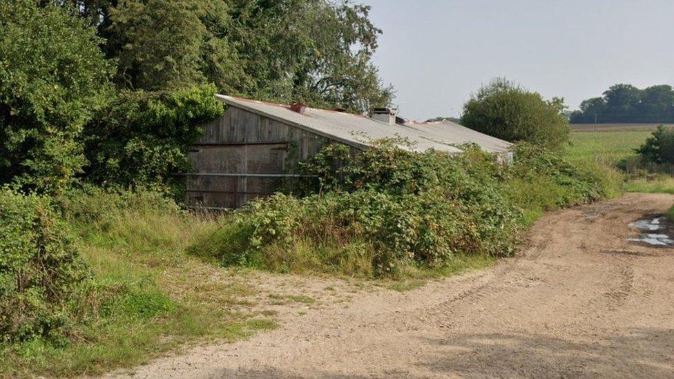 Chicken coop in Peaceful Lane