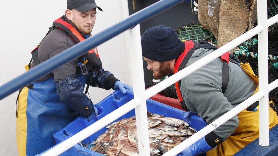 Fishermen on board a boat in a Yorkshire harbour