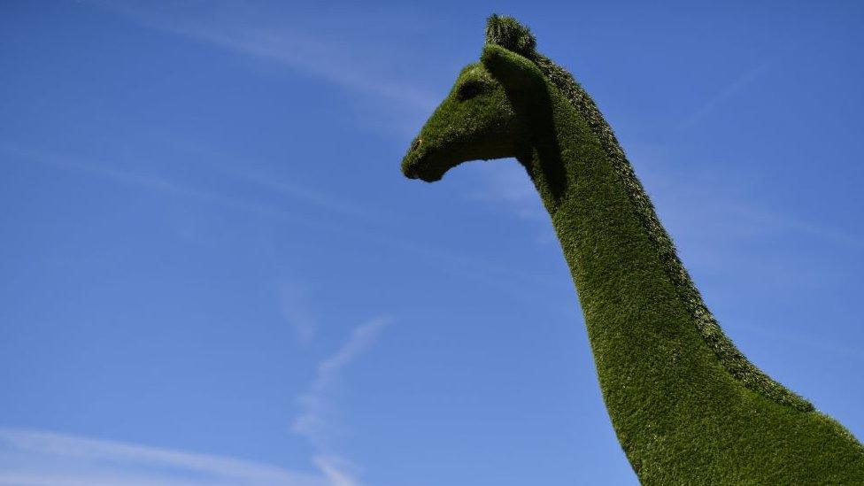 AstroTurf-giraffe.