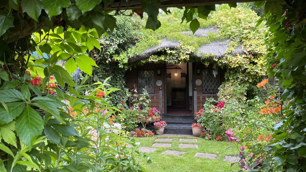 Rita and Roy Cooper, open garden