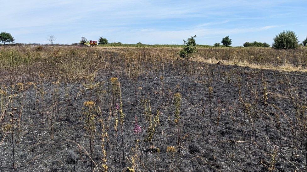 Heathland fire, Northampton