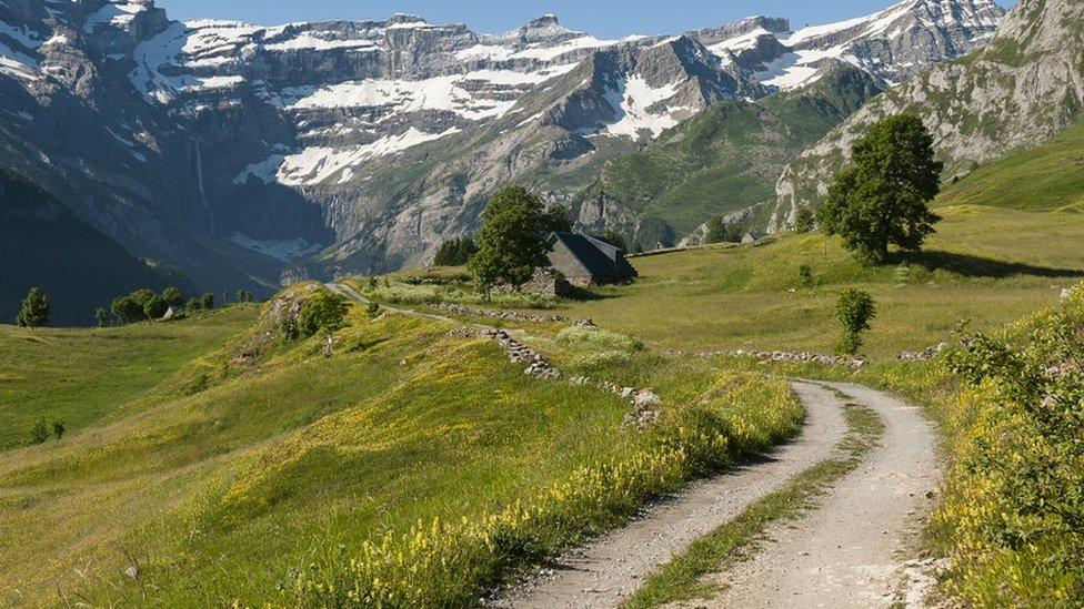 Pyrenees