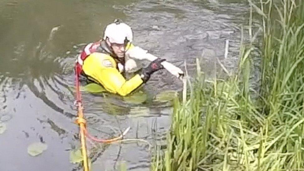 Swan rescued at Pentney Lakes