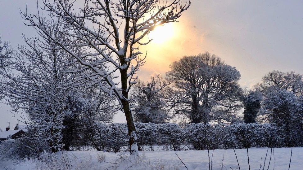 A snowy countryside team