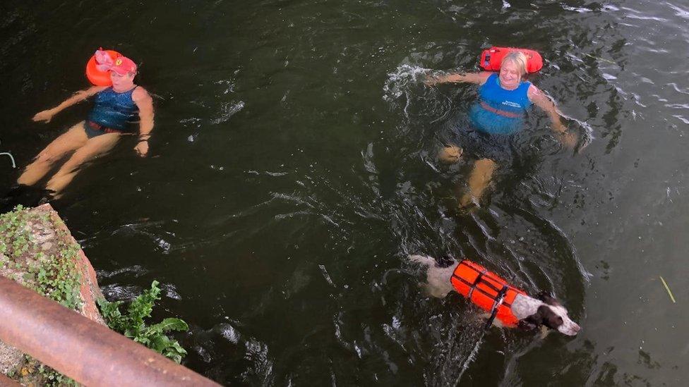 Wild swimmers at Denford