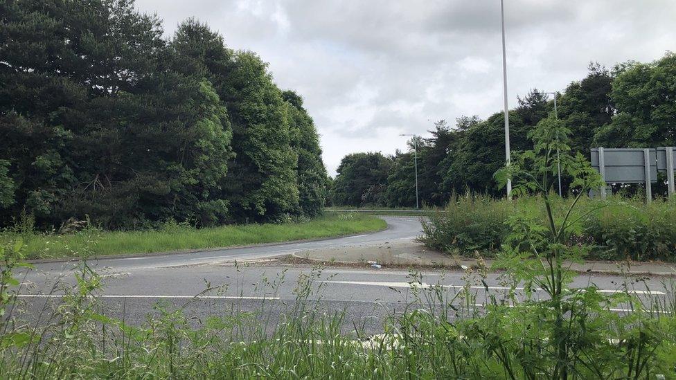 Long grass at roundabout