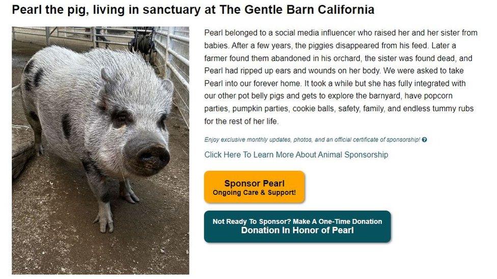 Post from the Gentle Barn about Pearl