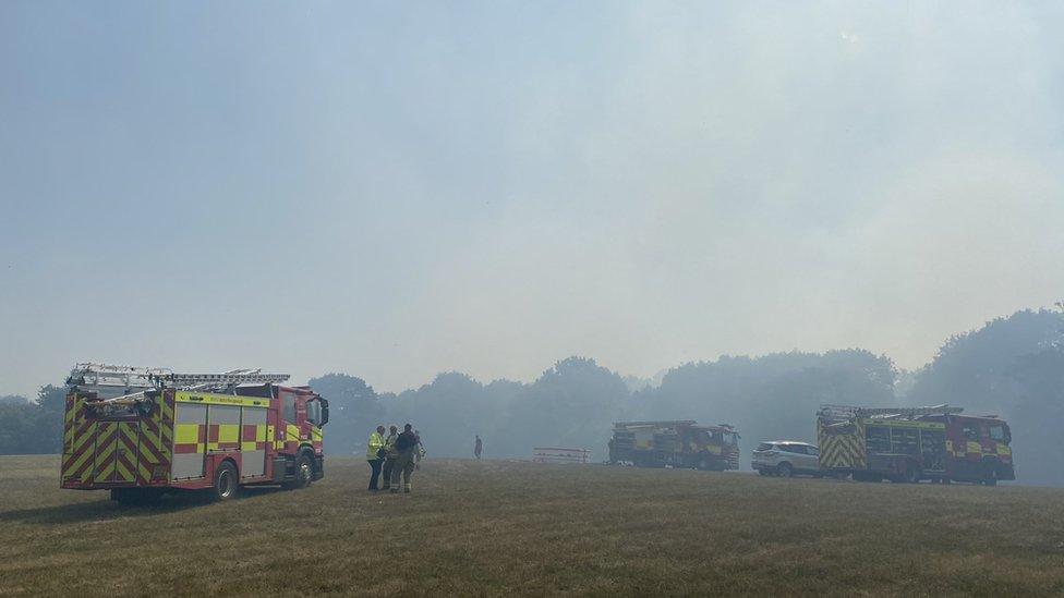 Aftermath of fire off Bradgate Hill, Groby