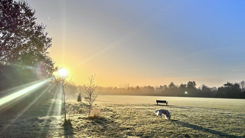 SATURDAY - Mapledurham Playing Fields, Caversham