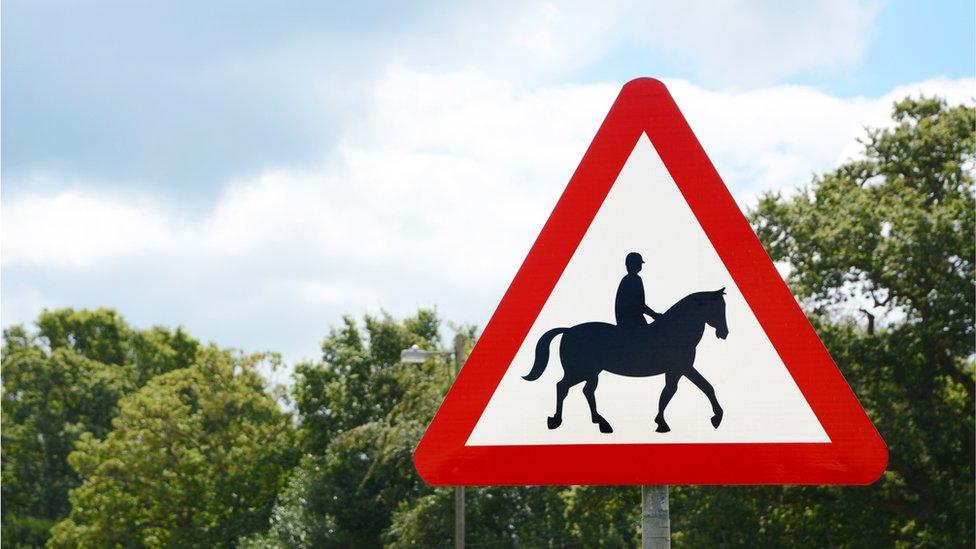 Beware horses UK triangle road warning sign