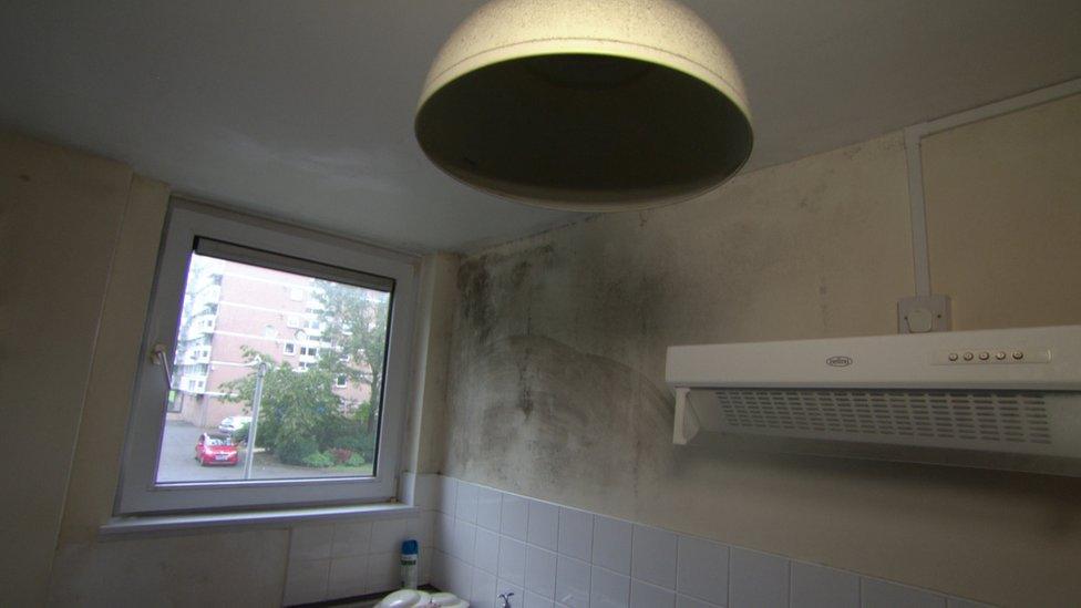 mould in kitchen