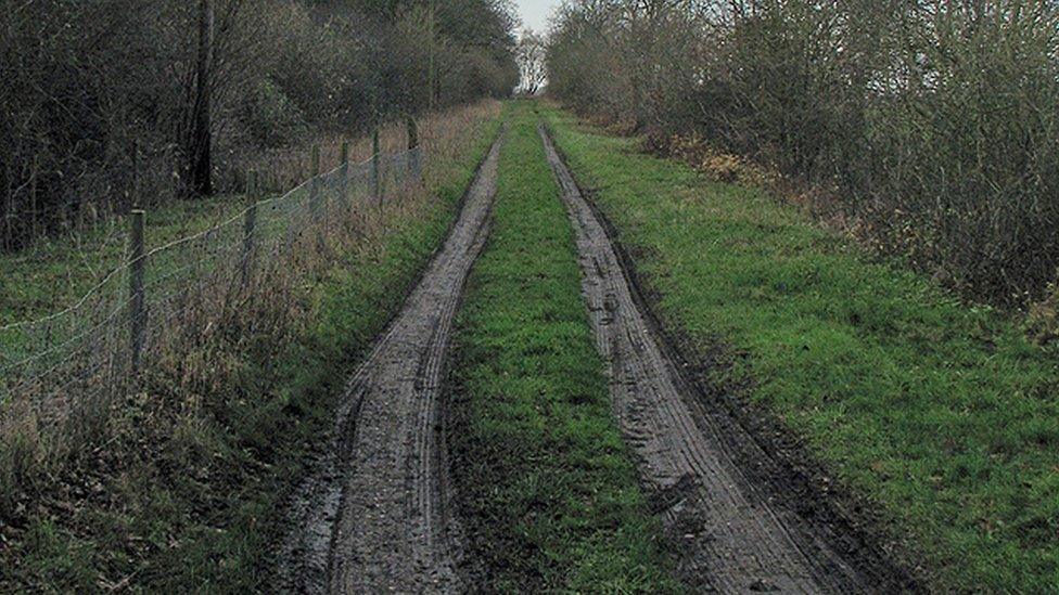 The old Varsity Line by Hayley Wood by Longstowe