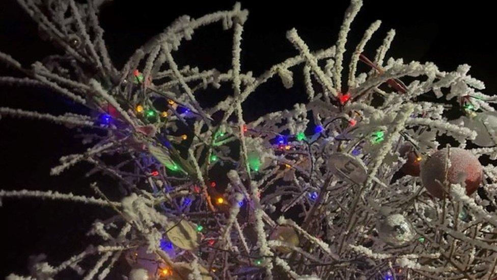 Wrekin memory tree