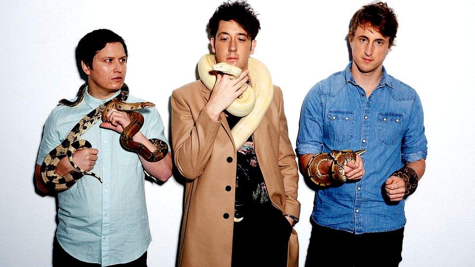 The Wombats