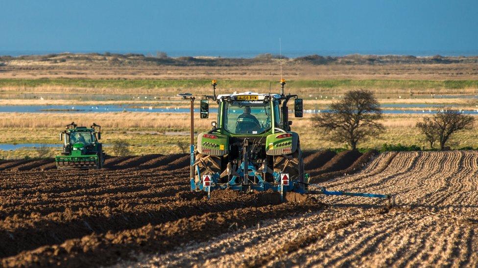 Tractors in a field